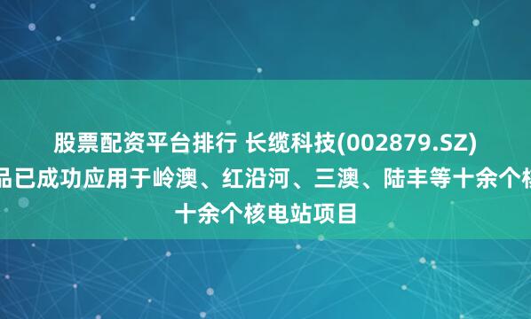 股票配资平台排行 长缆科技(002879.SZ)：核电产品已成功应用于岭澳、红沿河、三澳、陆丰等十余个核电站项目