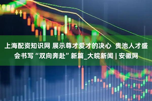 上海配资知识网 展示尊才爱才的决心  贵池人才盛会书写“双向奔赴”新篇_大皖新闻 | 安徽网